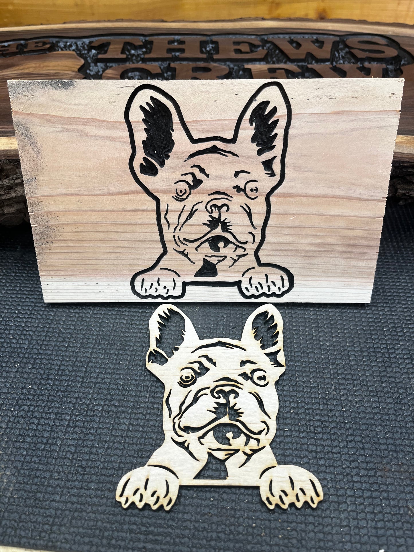 Frenchie Pup #1