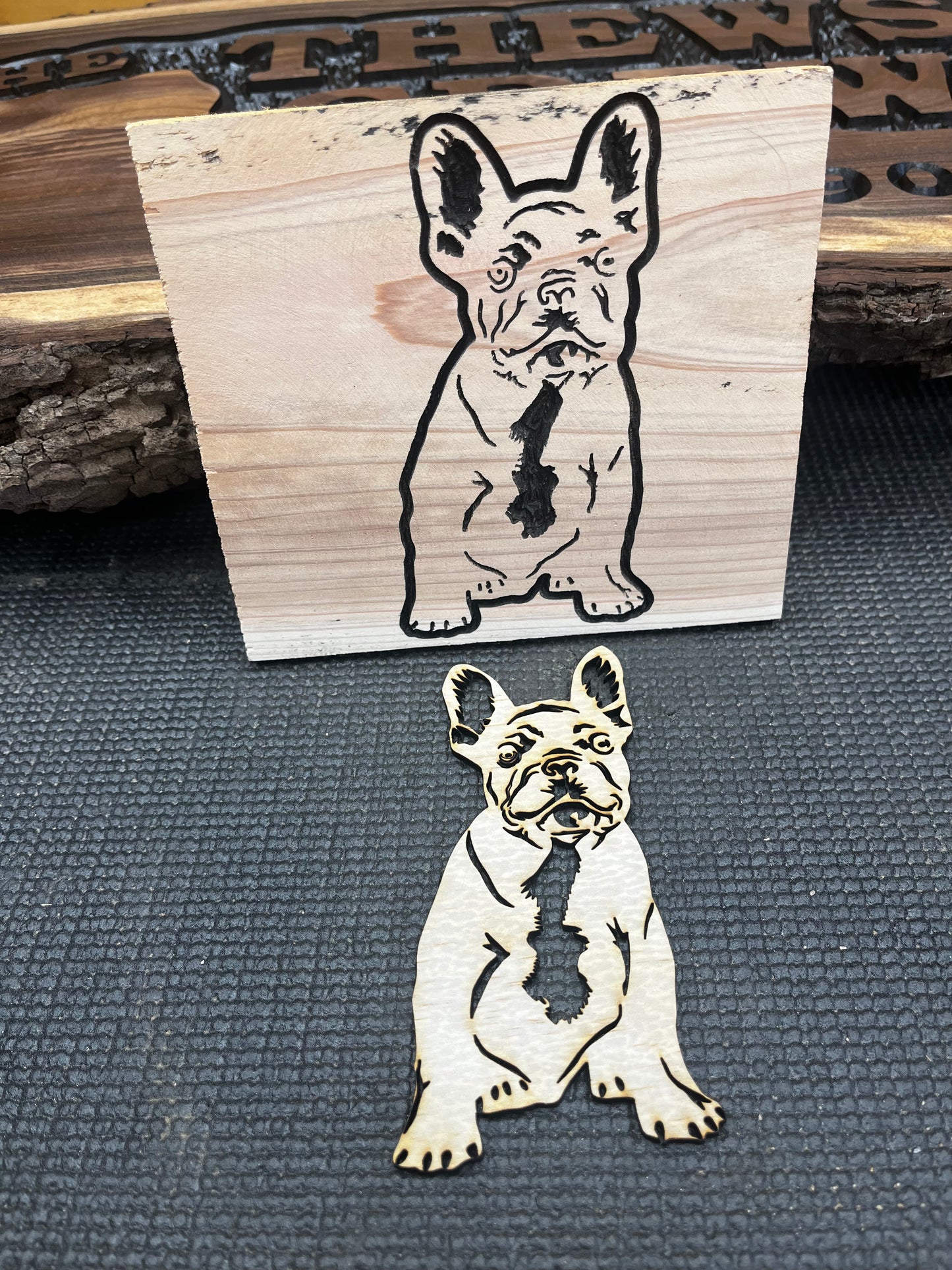 Frenchie Pup #2