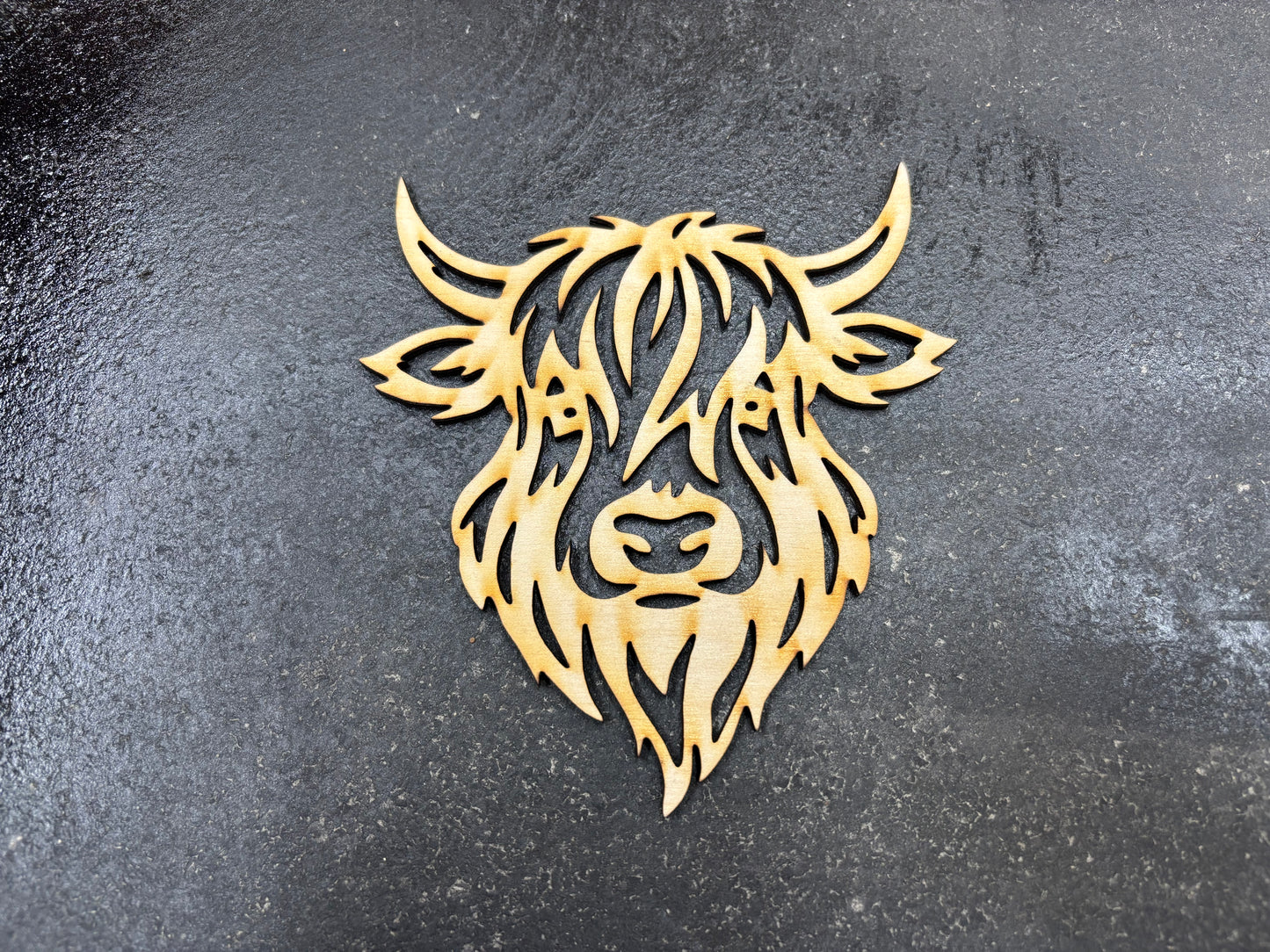 Highland Cow December 2025