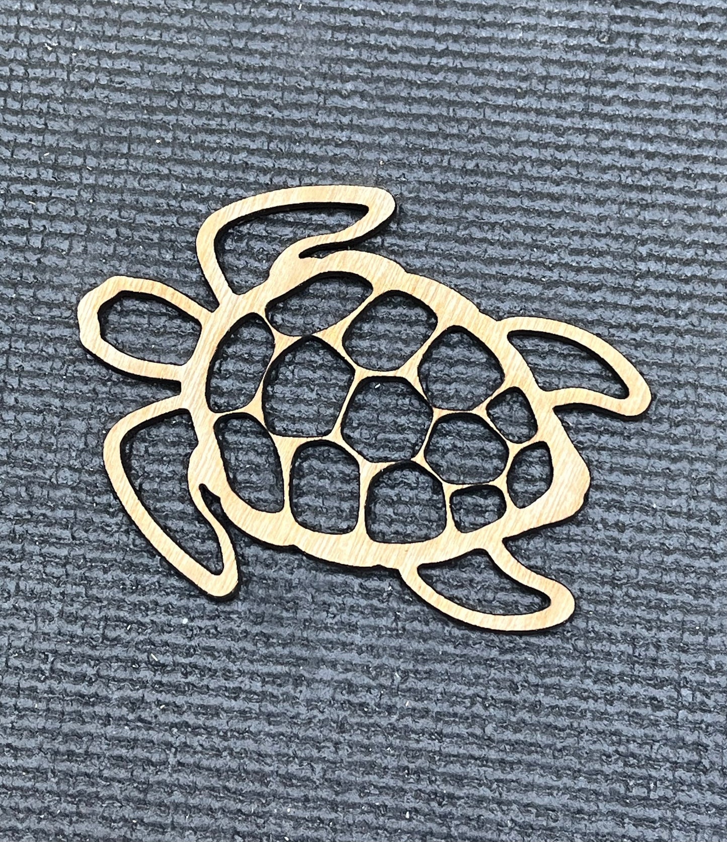 Beach Turtle Layout Template June 2024