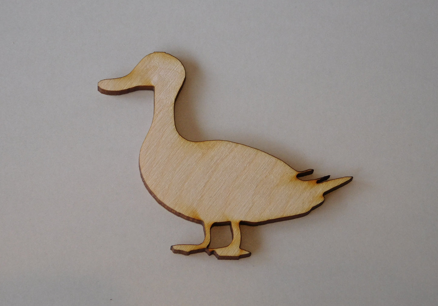 Duck