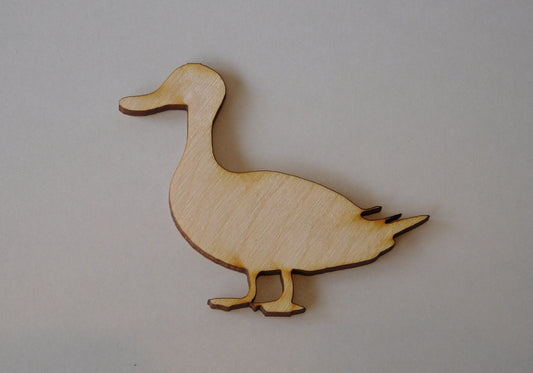 Duck