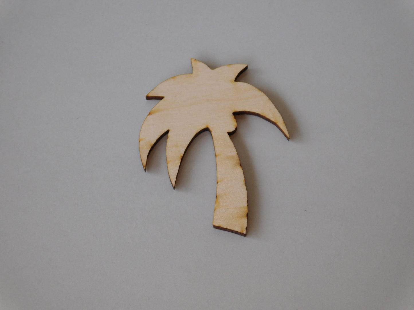 Single Palm Tree