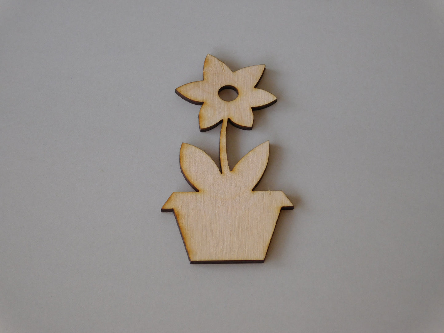 Flower in Pot