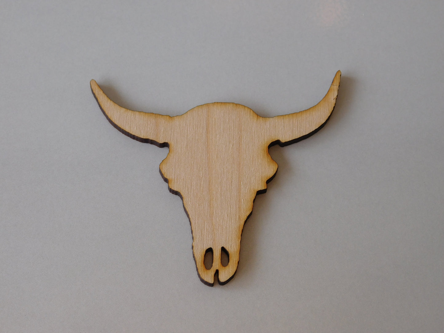 Cow Skull