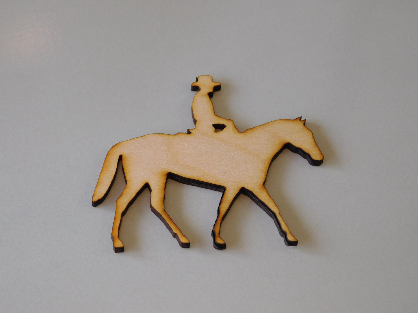Horse & Rider