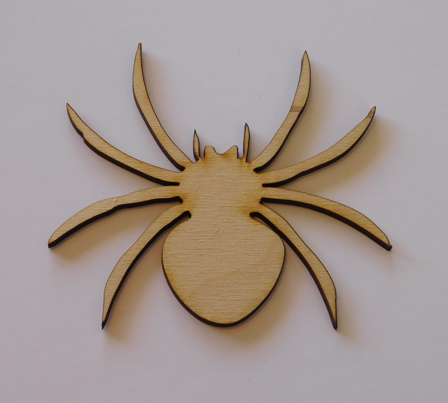 Halloween Spider
