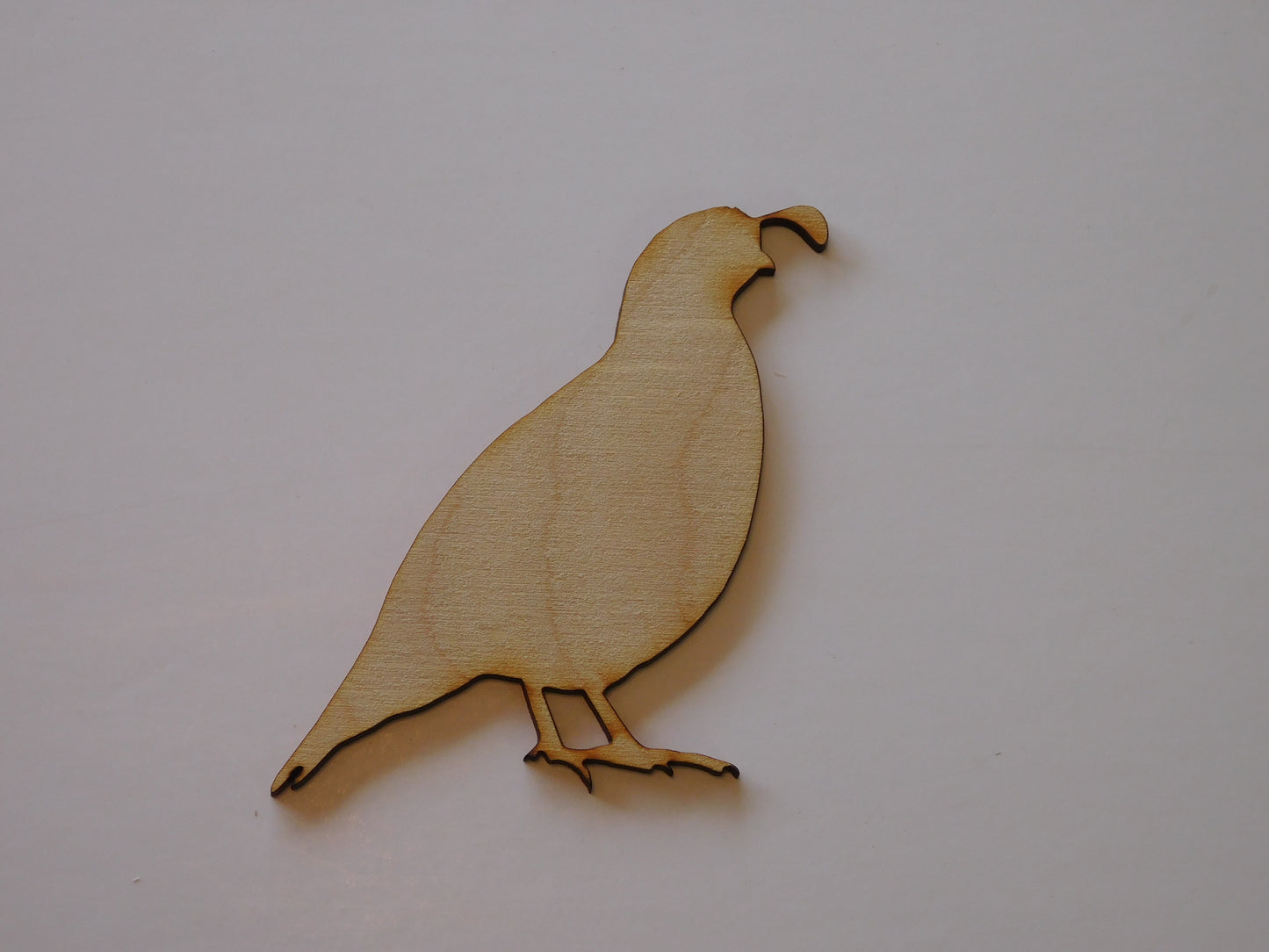 Quail Layout Template