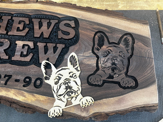 Frenchie Pup #1