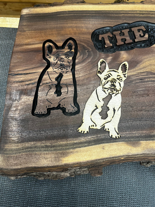 Frenchie Pup #2